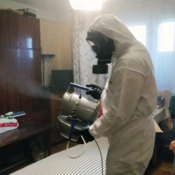 Дезинфекция от клопов во Фряново