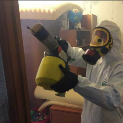 Уничтожение клопов в квартире. Фряново